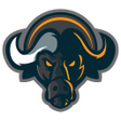 Ikon program: Buffalo Network