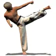 Taekwondo Forms Sponsored