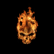 プログラムのアイコン：Fire Live Wallpaper
