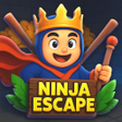 Ikona programu: Sprite Ninja Run  :Delhi