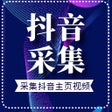 Ikon program: 一键采集抖音主页视频数据