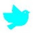 Ikon program: Bluebird