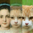 程序图标：Zooface - GIF Animal Morp…