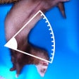 أيقونة البرنامج: Photo Protractor
