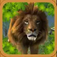 Wild Lion Simulator Attack 3D