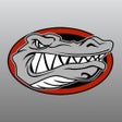 程序图标：Caiman Sports