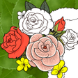Иконка программы: Coloring Book: Easy To Co…