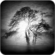 程序图标：Distorted Video  Image