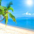程序图标：Beach Wallpaper Live