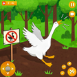 Icon of program: Duck Game 3d: Goose Simul…