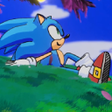 프로그램 아이콘: Sonic the Hedgehog Live W…
