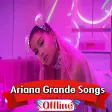 Ariana Grande Songs Offline  50 Songs