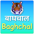 أيقونة البرنامج: Baghchal Game