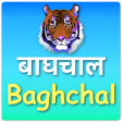 Baghchal Game