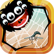 Programikonen: Feed the Spider