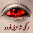 プログラムのアイコン：Dukhi Shayari Urdu - Sad …