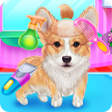 Icon of program: Cute Corgis Caring and Dr…