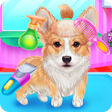 Icon of program: Cute Corgis Caring and Dr…