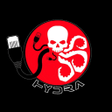 プログラムのアイコン：Hydra VPN