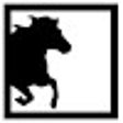 Ikon program: Horse Says