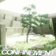 程序图标：The Confinement