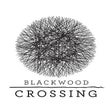 程序图标：Blackwood Crossing