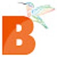 Icon of program: Bitsy.in - Go tiny with y…