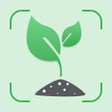 Programikonen: What Kind Of Plant Is Thi…