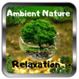 Programikonen: Ambient Nature Sounds Mus…