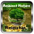 Ambient Nature Sounds Music