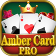 程序图标：Amber Card Pro