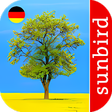 Symbol des Programms: Baum Id - Deutschlands Bä…
