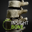 プログラムのアイコン：INSIGHT BONE