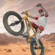 Programikonen: Bicycle Adventure Cycle G…