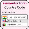 Ikon program: Country Code For Elemento…