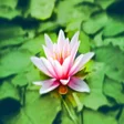 プログラムのアイコン：Breathing Relaxation Exer…