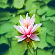 Ikona programu: Breathing Relaxation Exer…