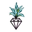 Programikonen: Jem Juicery