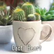 Cacti Heart Theme