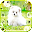 Programikonen: Cute White Puppy Keyboard…