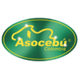 Programikonen: App Asocebú Colombia