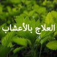 أيقونة البرنامج: أسرار العلاج بالأعشاب