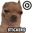 程序图标：Memes Stickers WAStickerA…