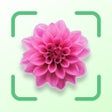 程序图标：Plant Identifier - FREE o…