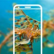 程序图标：FunyWallPaper