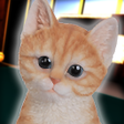 プログラムのアイコン：Cat Simulator 2021: Virtu…