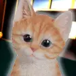 Cat Simulator 2021: Virtual Ca