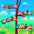 Cute Bird Game:Sorting Puzzle