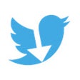 Programikonen: Twitter Video Download
