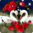 Icon of program: Flowers Wishes 2020 Gif